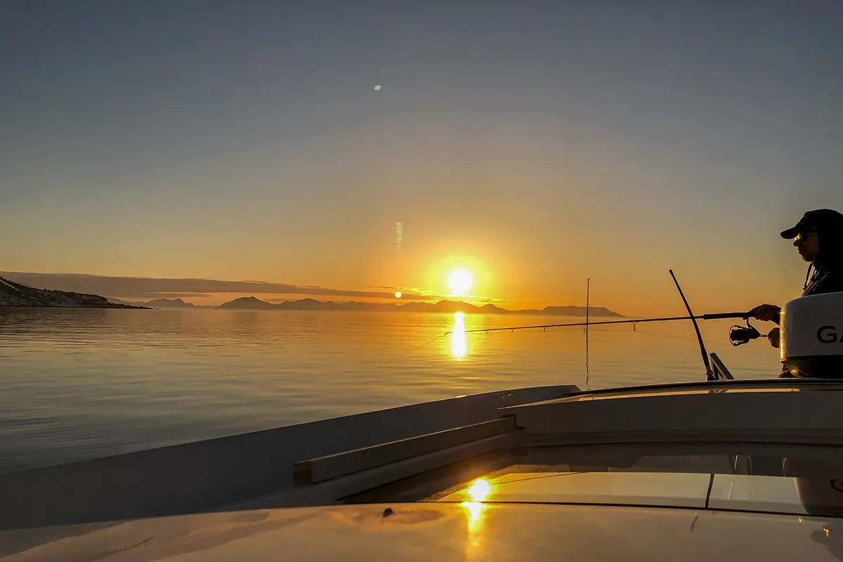 2 menn som fisker torsk i Harstad.